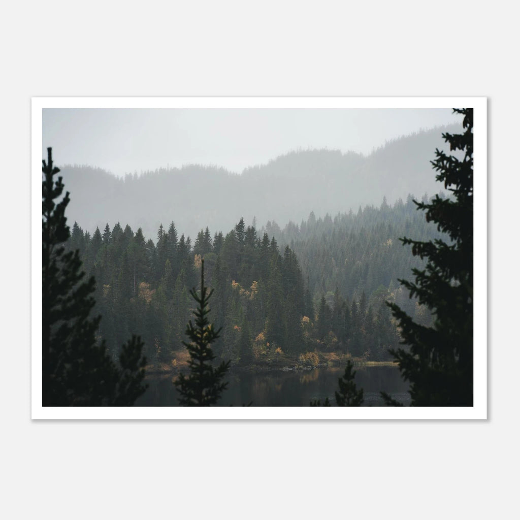 0442c28f-ac28-4989-b346-075d7b565f16