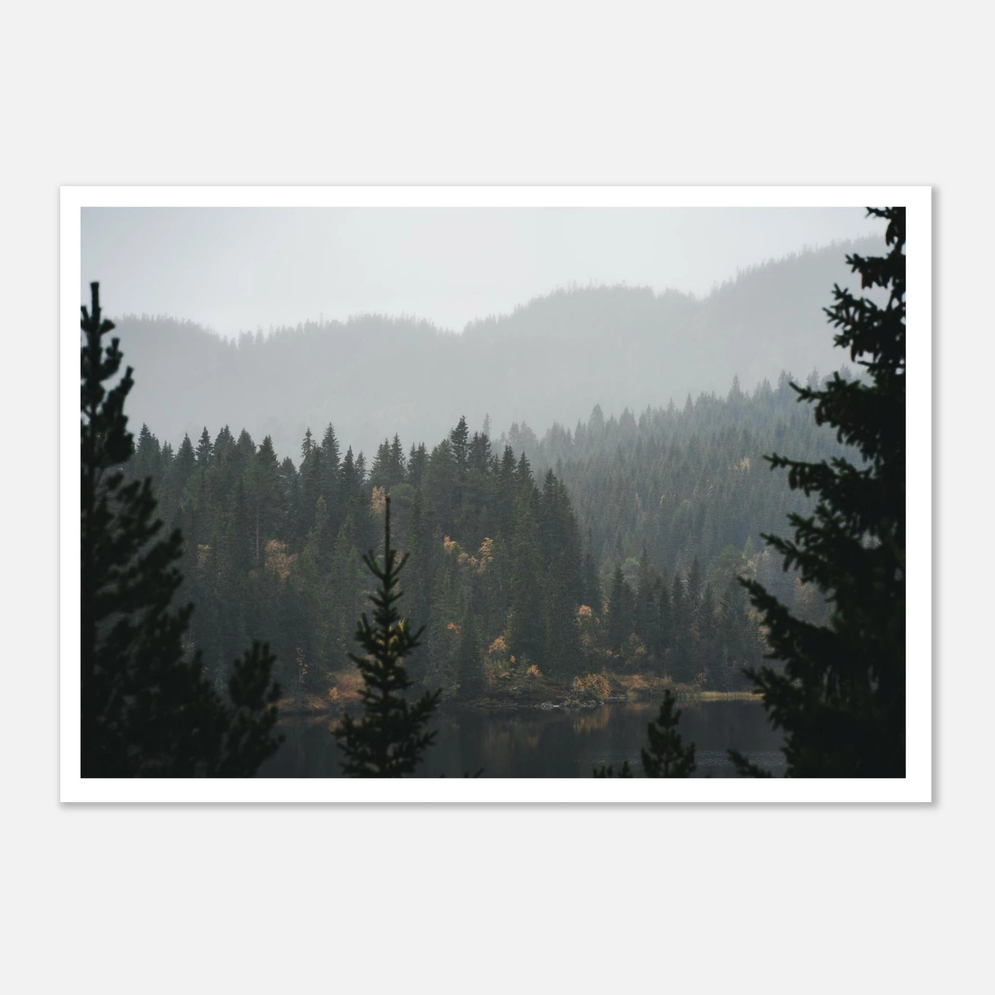 0442c28f-ac28-4989-b346-075d7b565f16