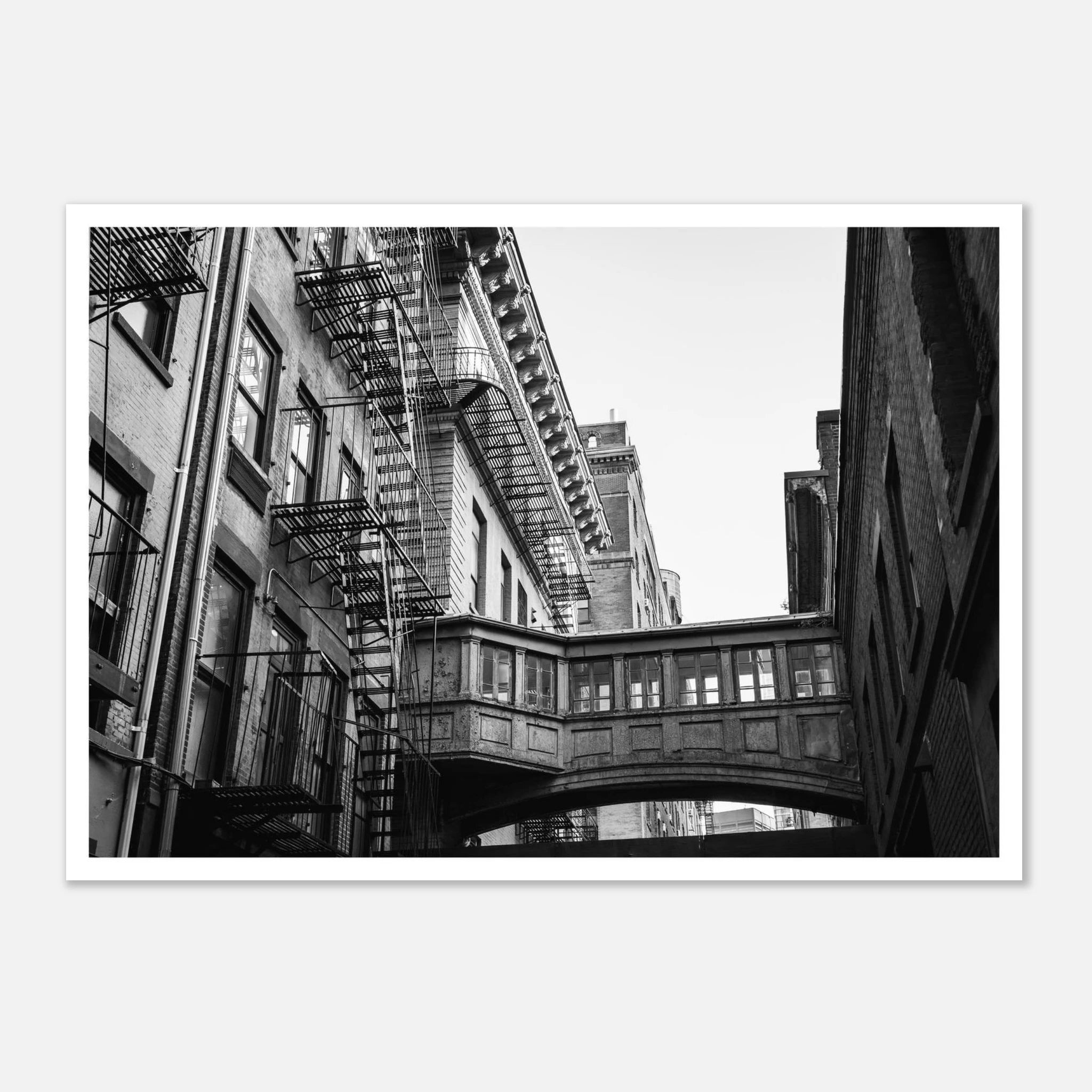 054993fa-a0b7-4d48-9d23-5762946123b5