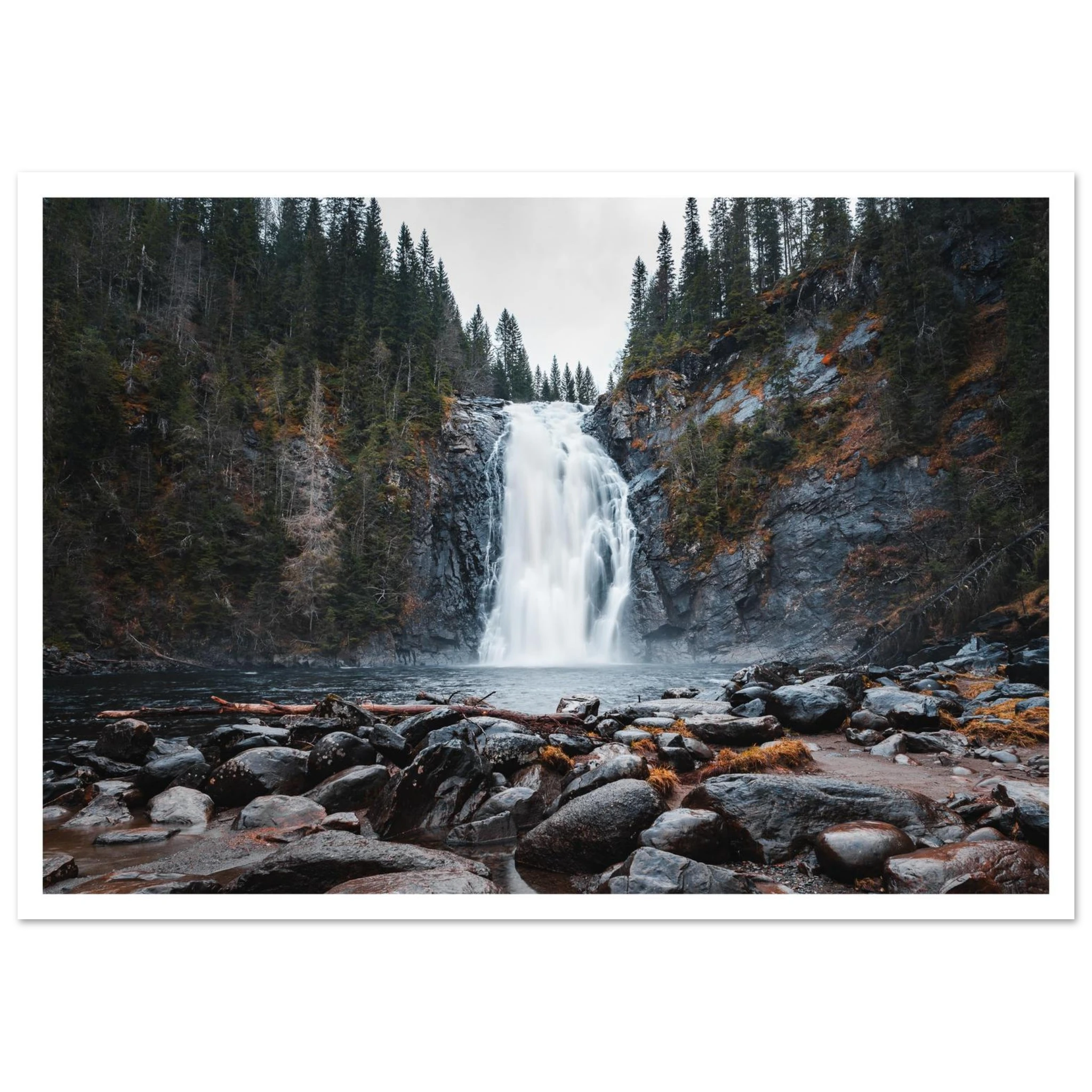 0ed4324a-0b95-4c92-9967-5b5fe2cfd4d2