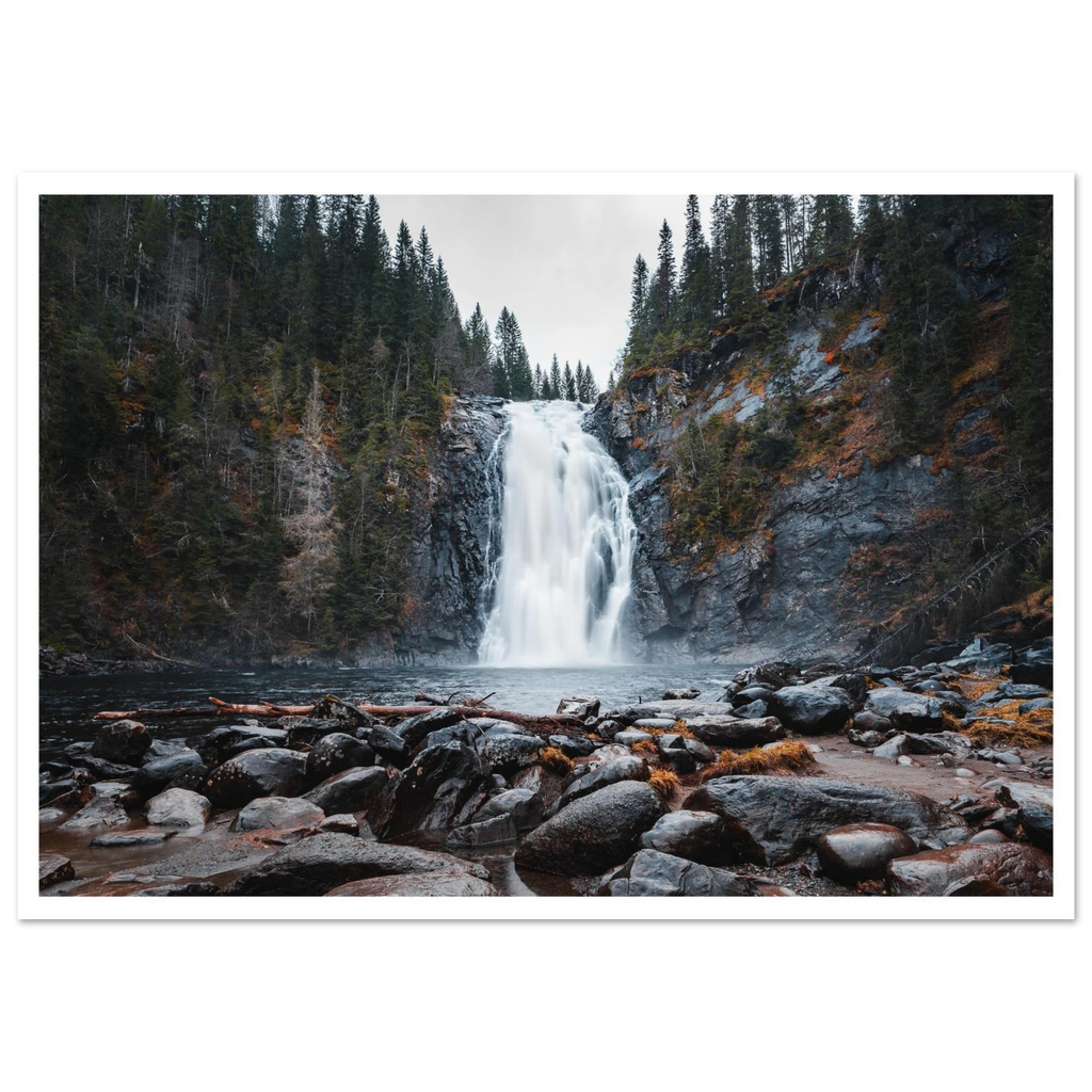 1fa5db7d-4fbf-4df5-9948-b25db742e29a