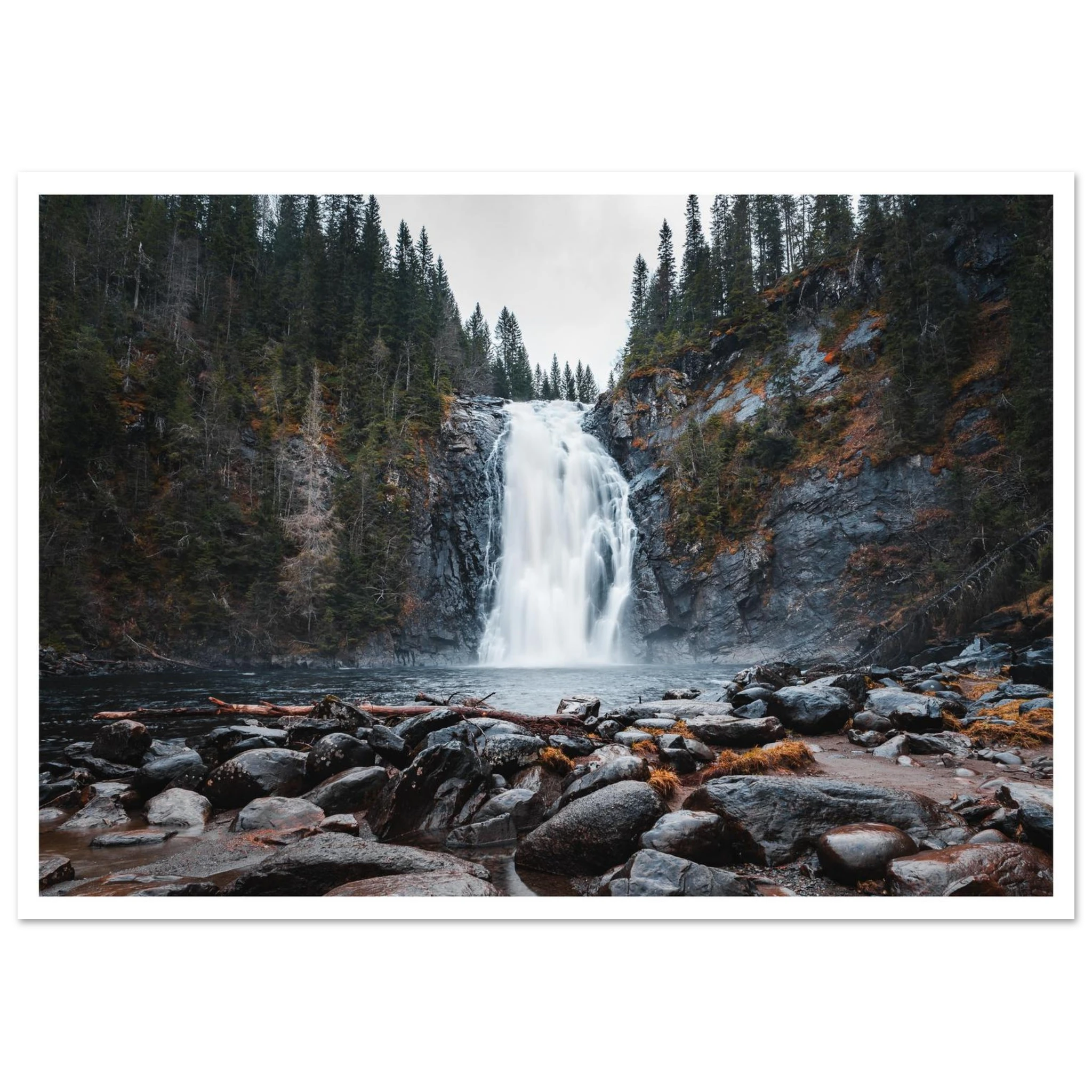 1fa5db7d-4fbf-4df5-9948-b25db742e29a