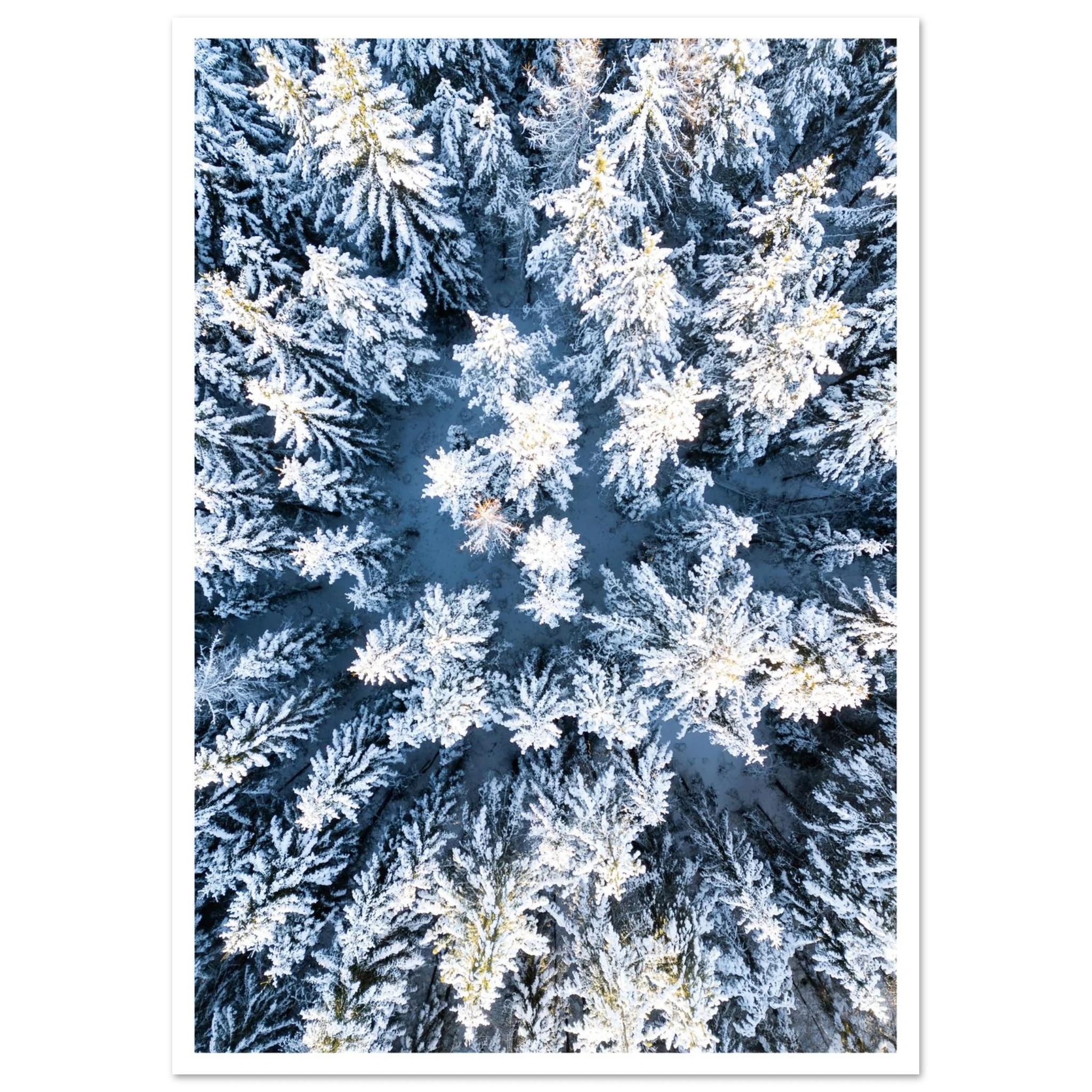 2bcaad1e-abbe-4184-8416-51abba788ce2