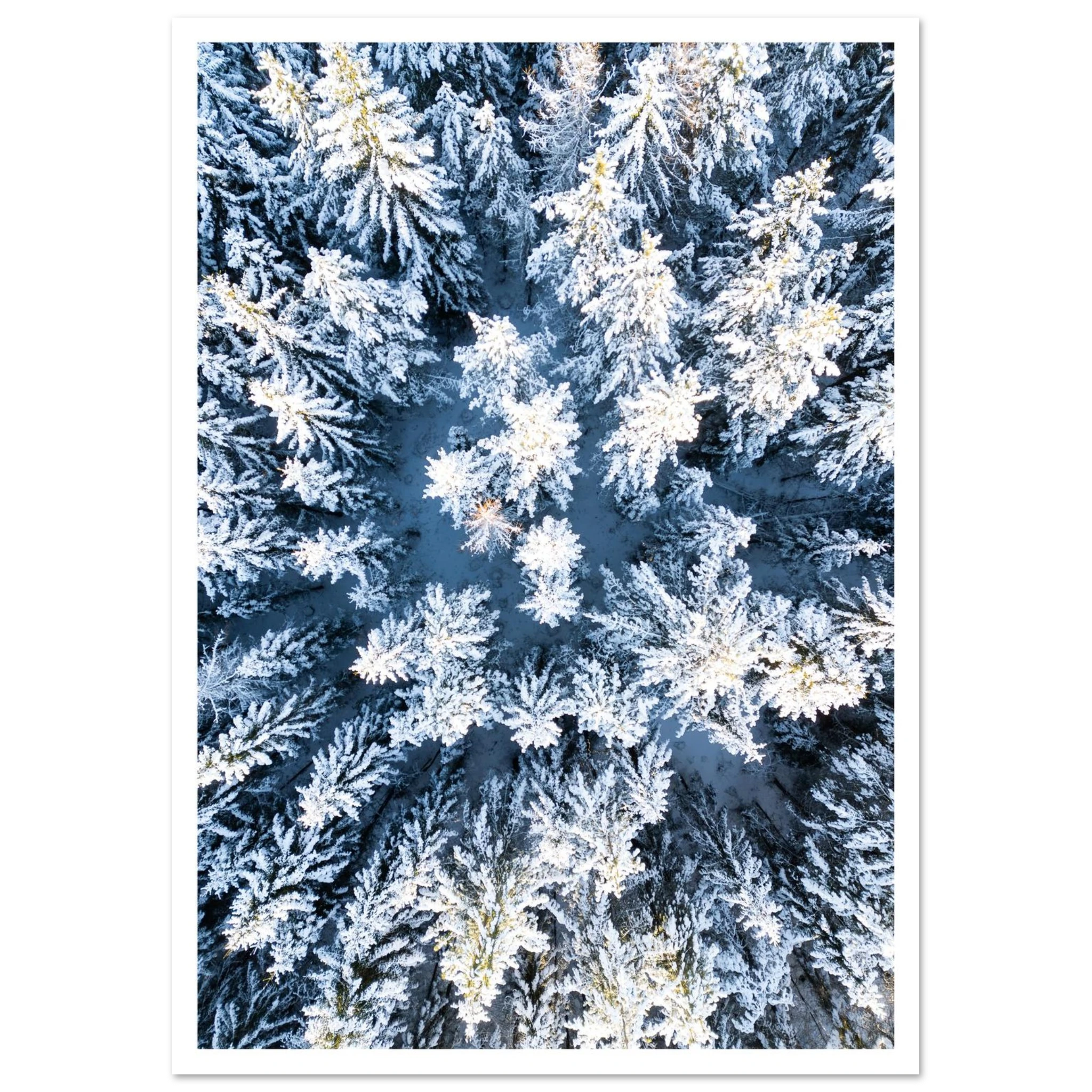 335d0329-c654-42c2-b753-9ee9de9665fa