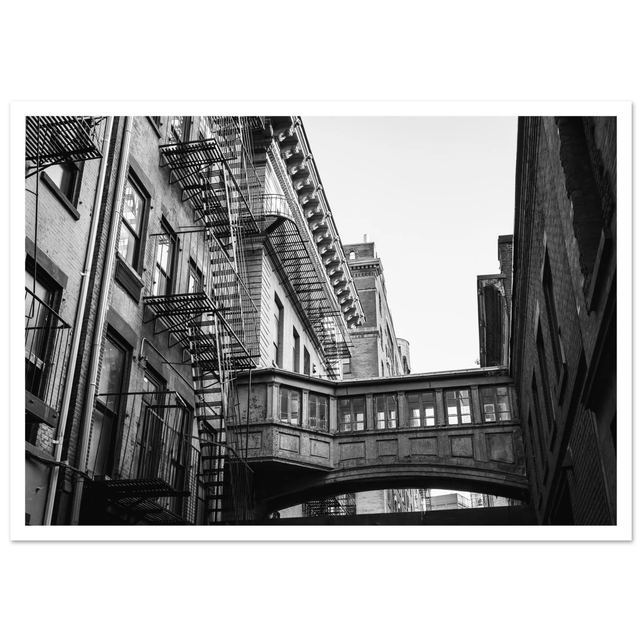 39327bbd-ff8b-4800-8c3d-8e1fa30309b0