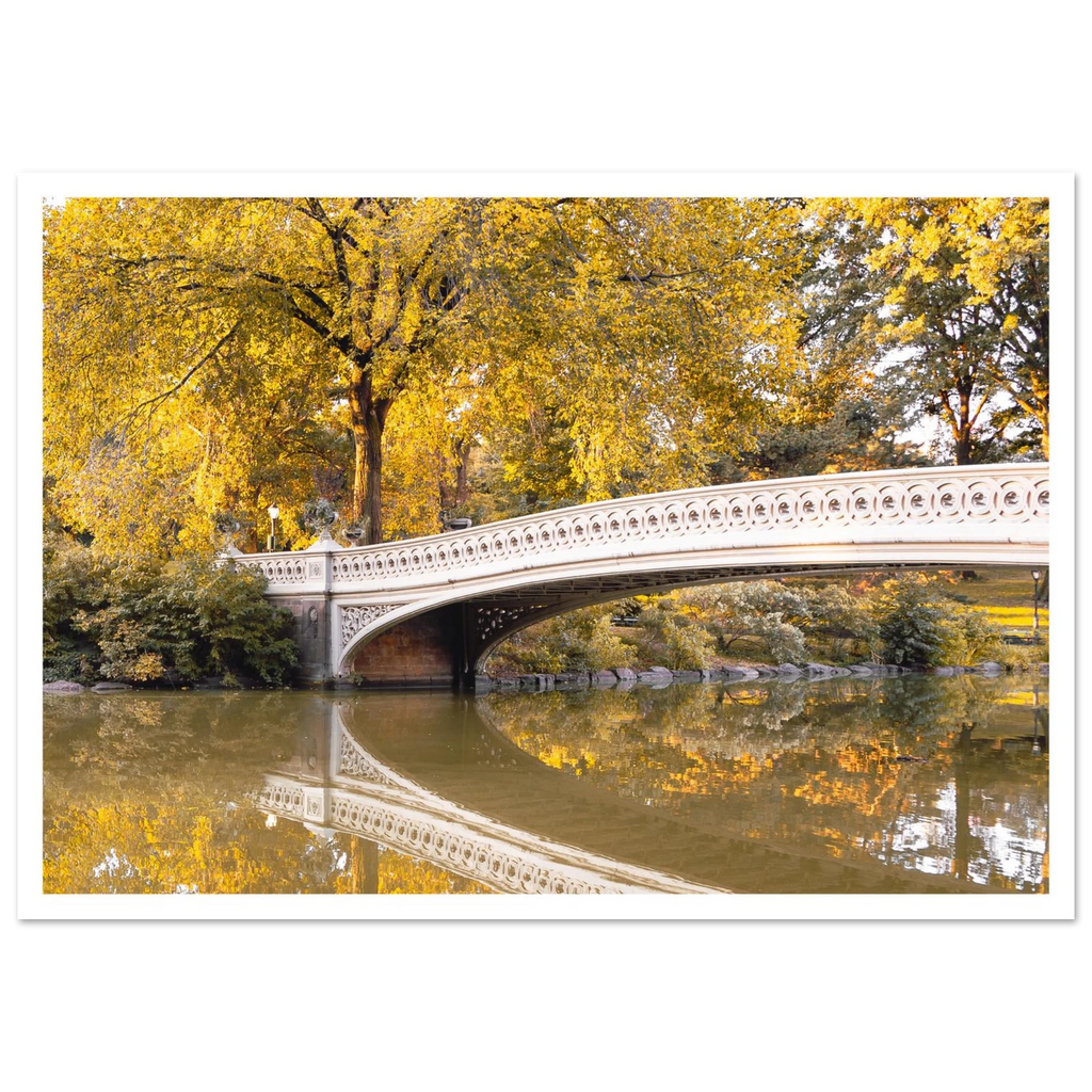 39bc7ce8-e37b-4288-961f-d88637e63a77