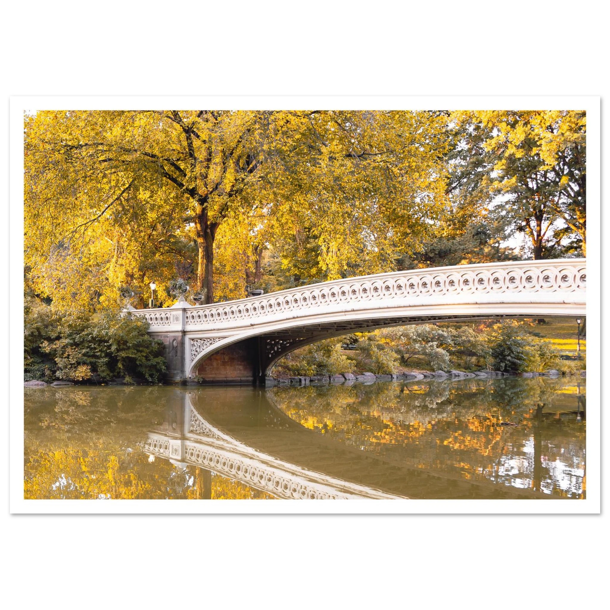 39bc7ce8-e37b-4288-961f-d88637e63a77