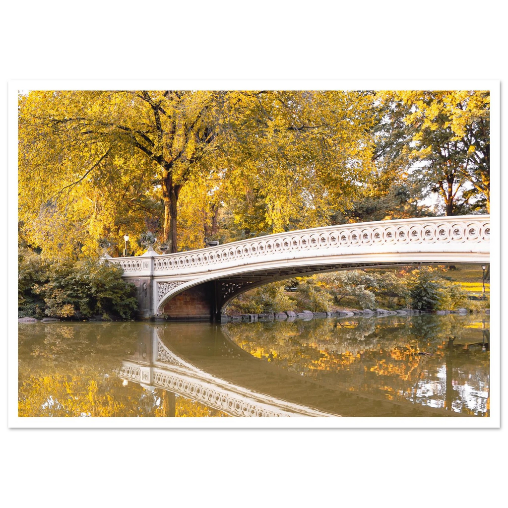 3c92a9b7-70e9-47f0-8426-874a31d79f64