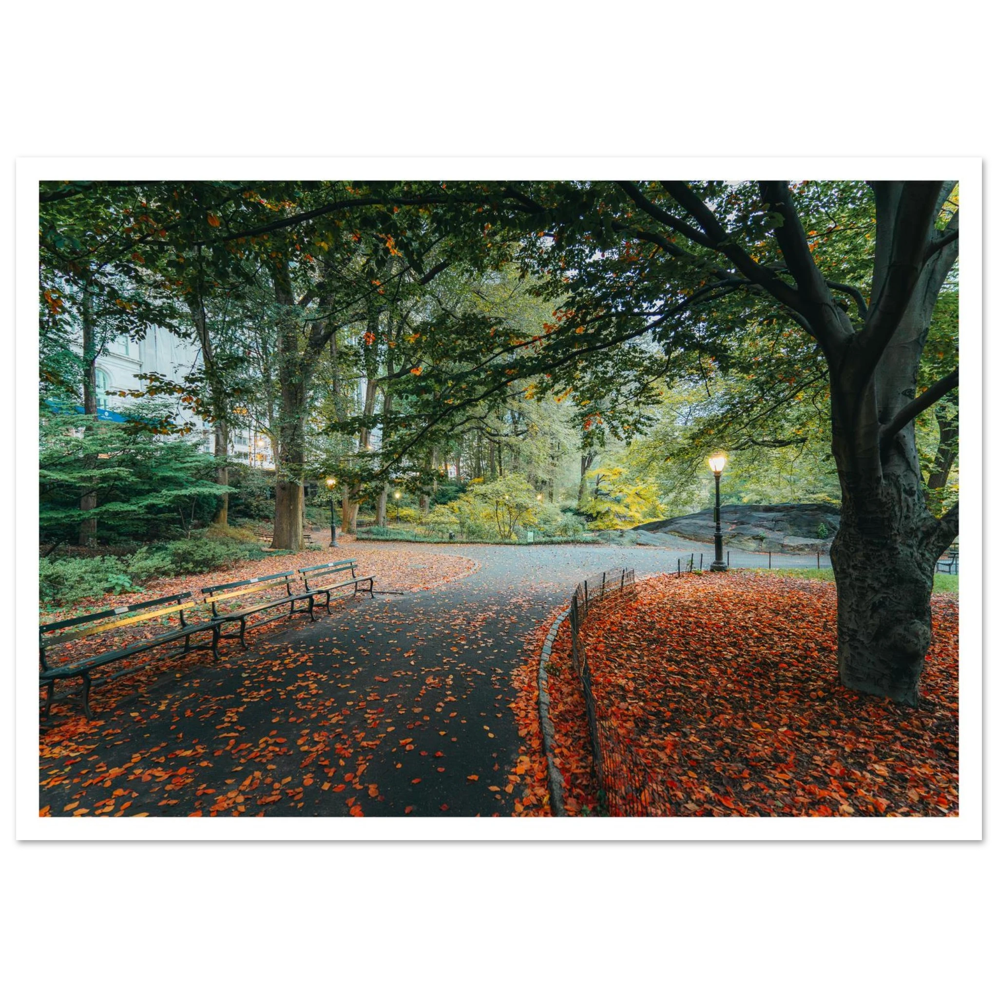 3ddca335-7370-4c2e-912b-353f2819b1bf