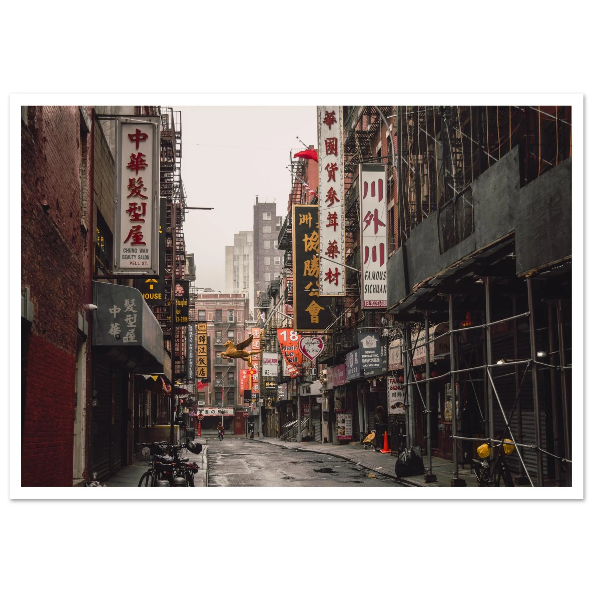 42a36d23-9529-47d7-9a9b-cd3fa4db57e9