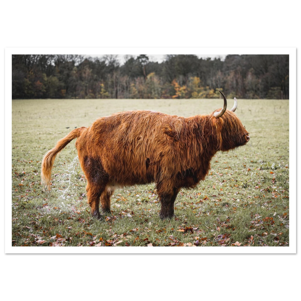 4758a180-56c8-4199-bdd7-7b29897b09a9