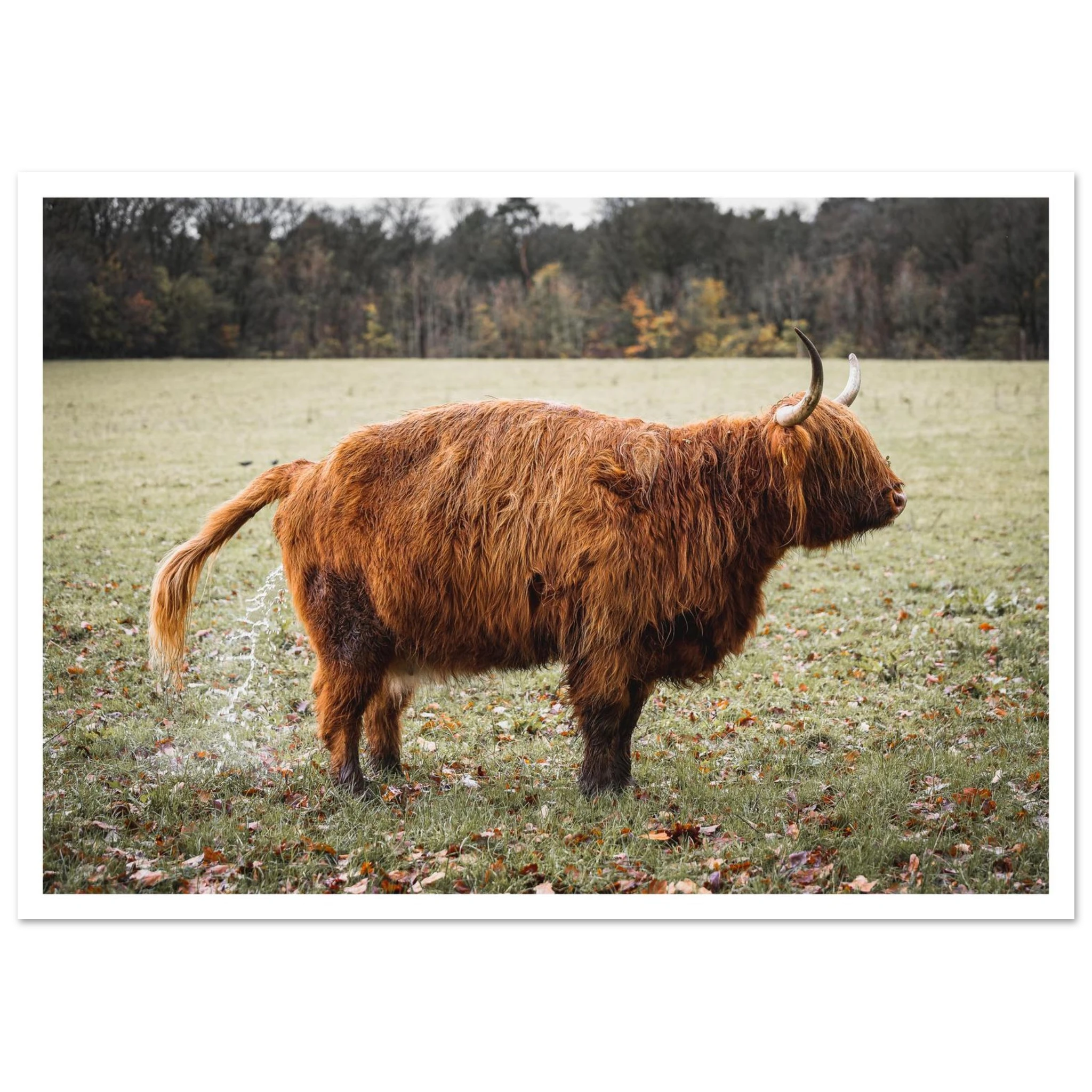 4758a180-56c8-4199-bdd7-7b29897b09a9