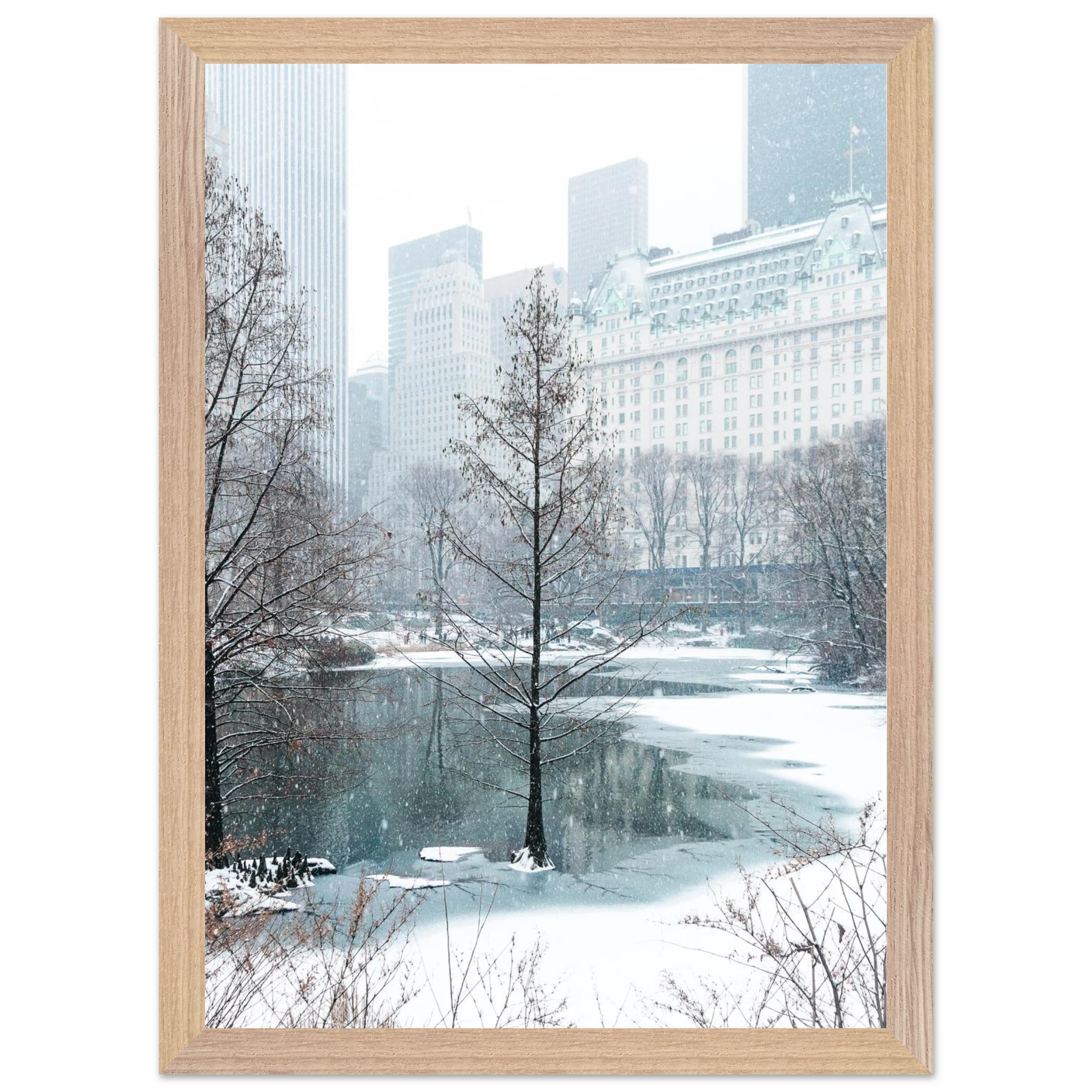 4a134fc6-c90d-450b-90bb-d9b9b83500c4