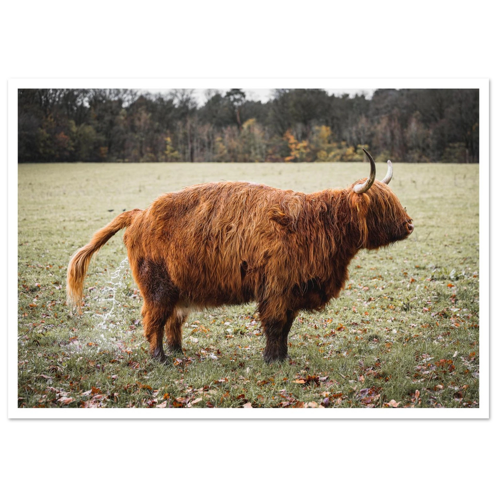 6dd2cfb7-f8c2-4500-ac01-1123bbbb280f