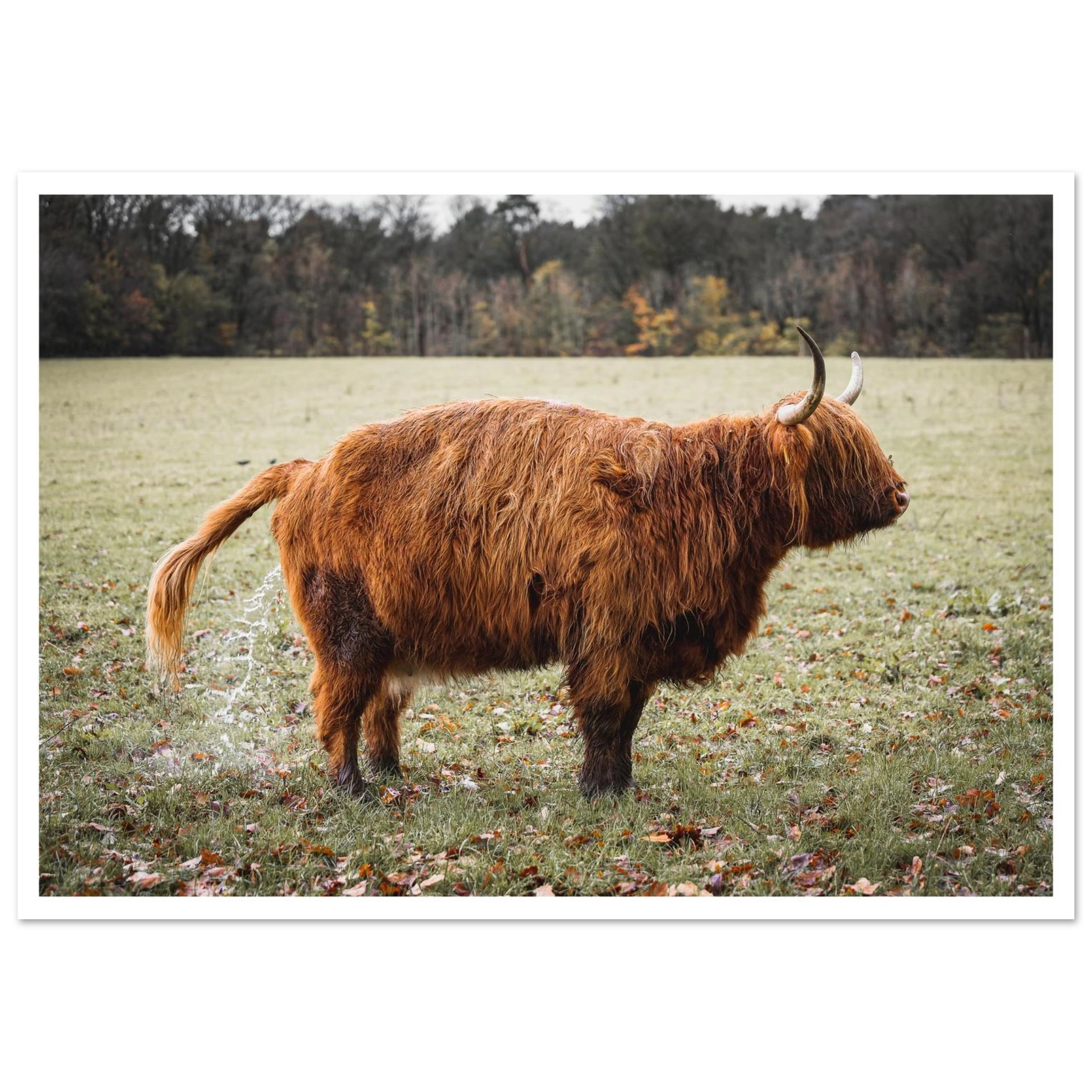 6dd2cfb7-f8c2-4500-ac01-1123bbbb280f