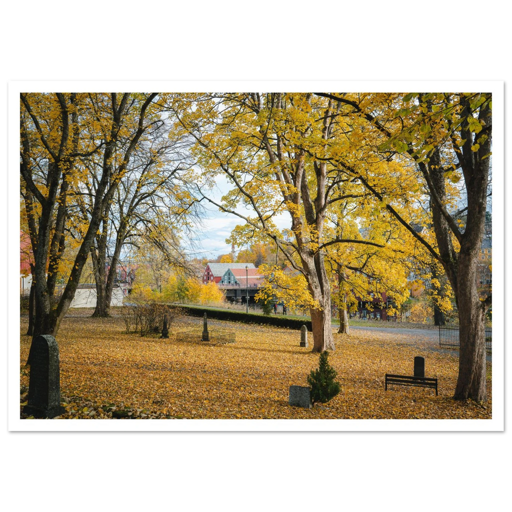 724f1b38-3a10-4c36-84c3-ec1631c28591