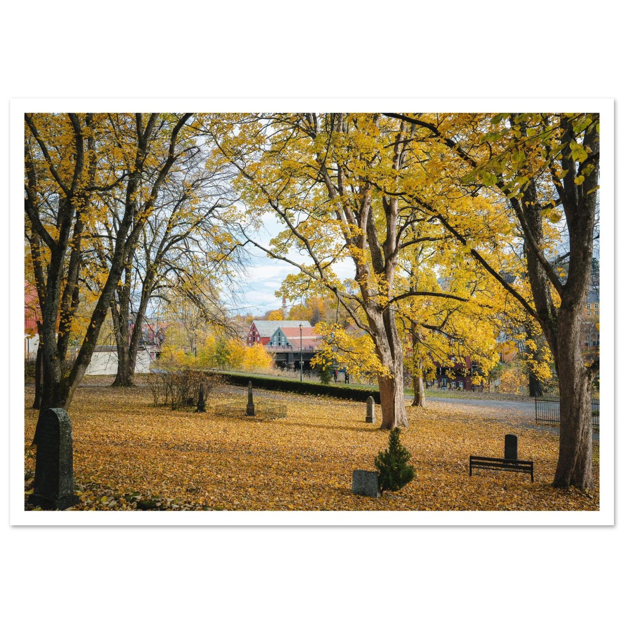 724f1b38-3a10-4c36-84c3-ec1631c28591