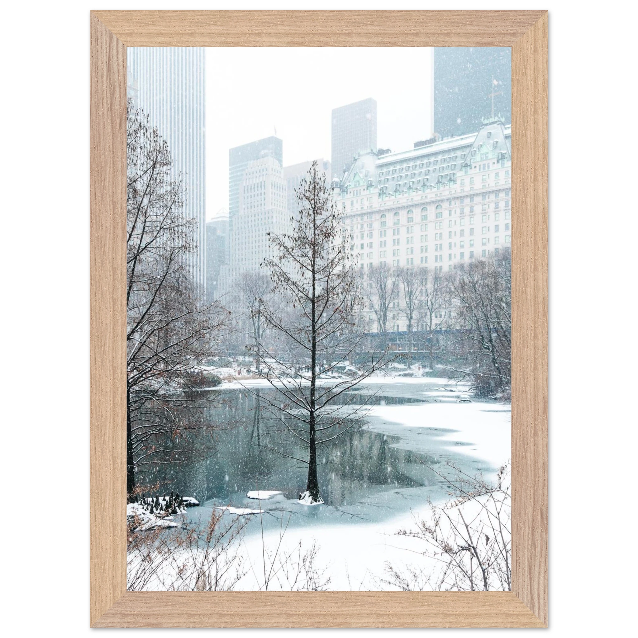 785cf41c-1dd9-4e80-9039-e6bc7eea031b