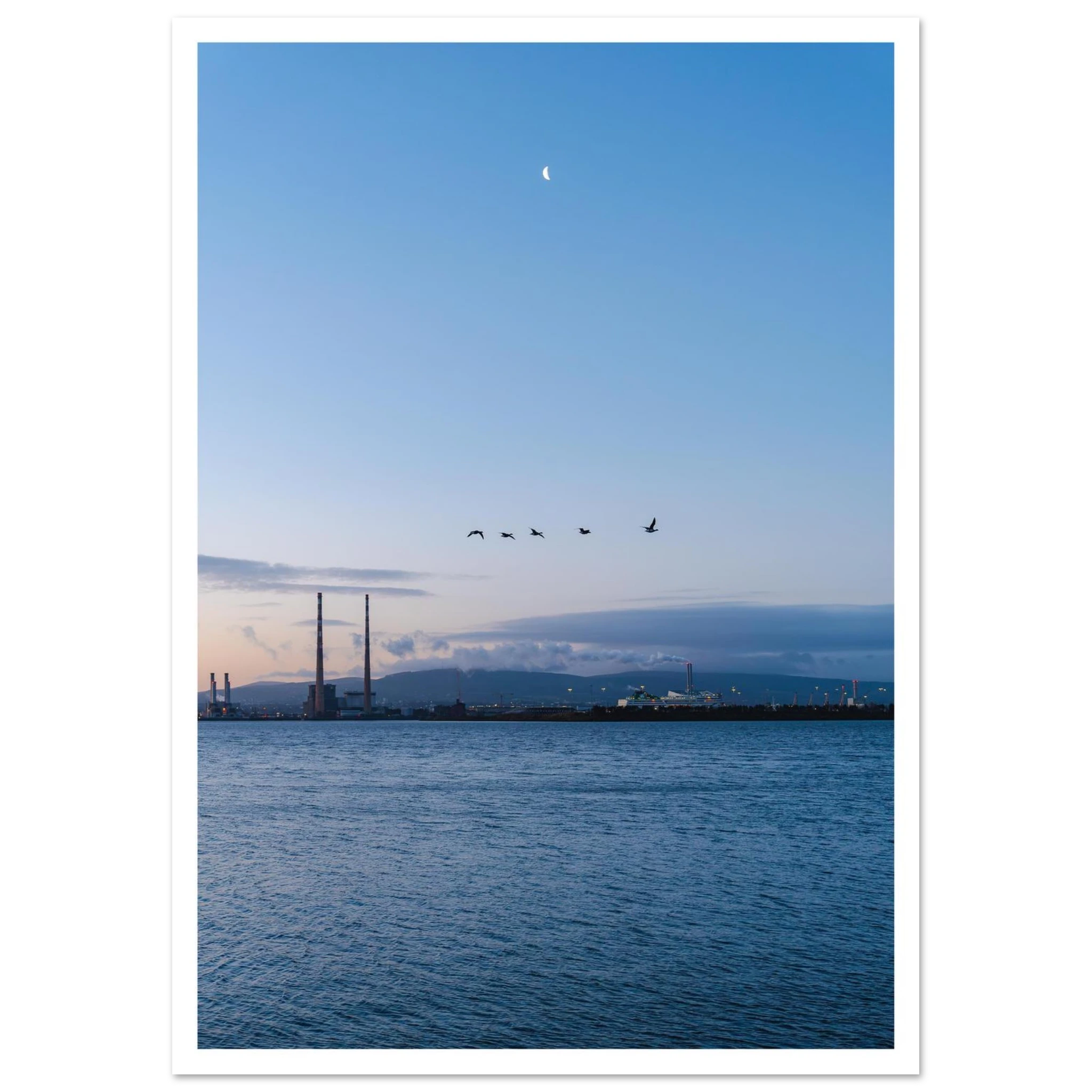 7903a215-afd8-464f-8d49-52c97ee7f003