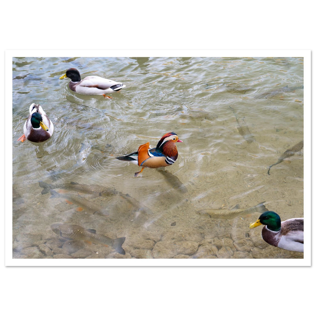 834fe68c-58d9-4300-8fa8-b6ddaf850745