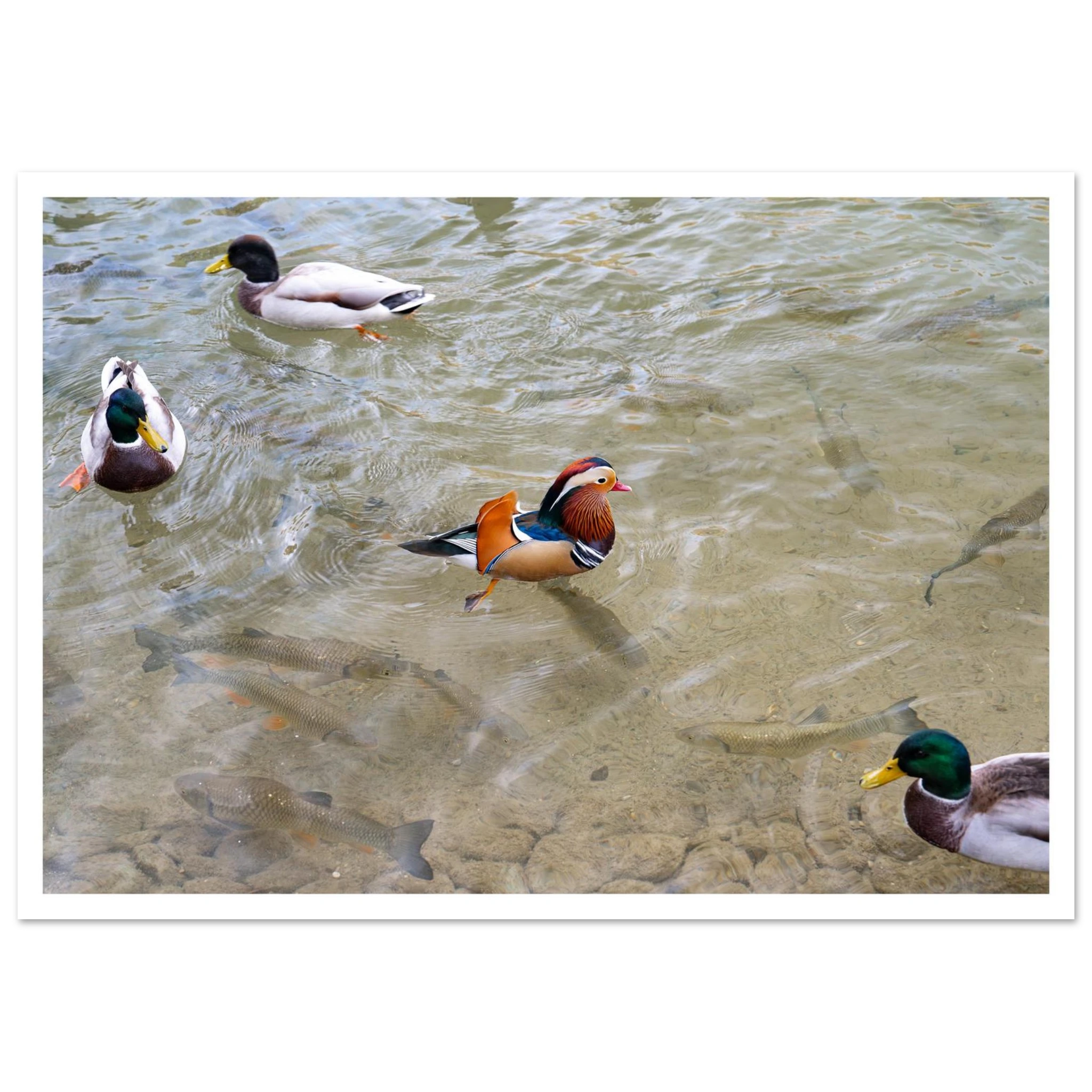 834fe68c-58d9-4300-8fa8-b6ddaf850745