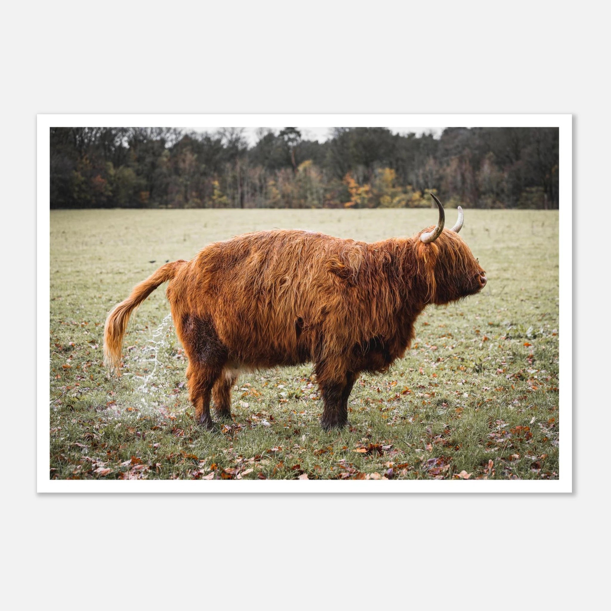 83fb4097-c513-477c-86b0-3b0ce6eff581