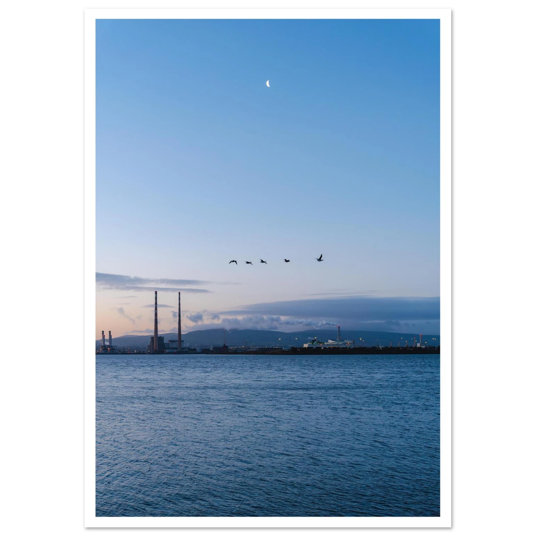 8df31c33-32c9-412e-8306-c3c6bbcbb579