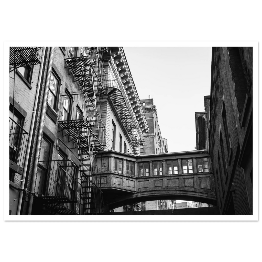 8f7d1f58-92fc-4741-9e46-b43ae8f90352