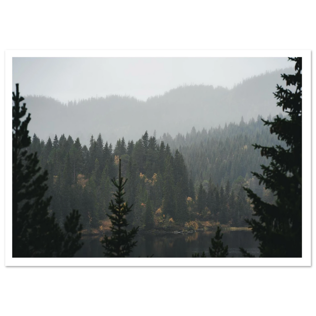 988ab924-7630-4f4f-9222-885279be1cee