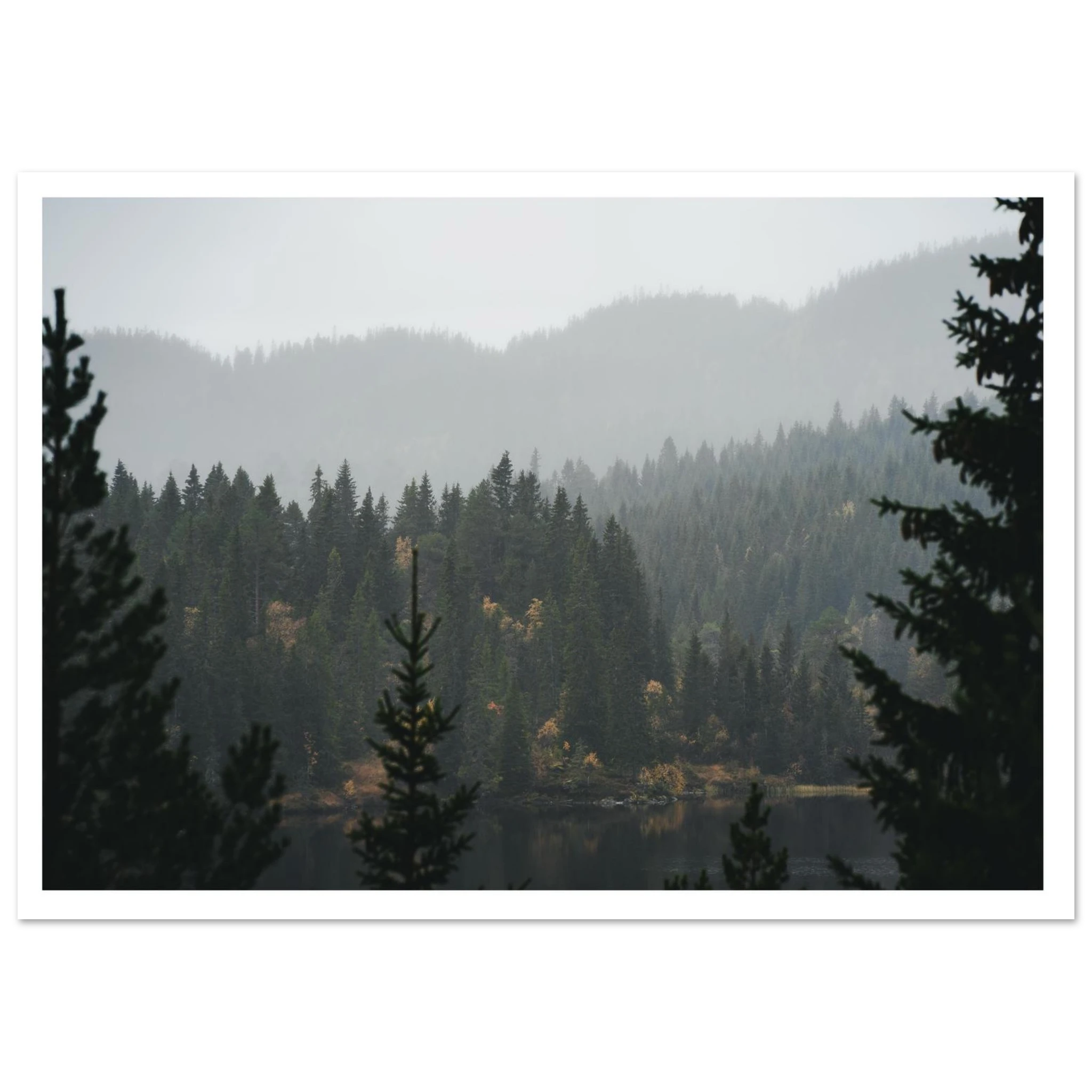 988ab924-7630-4f4f-9222-885279be1cee