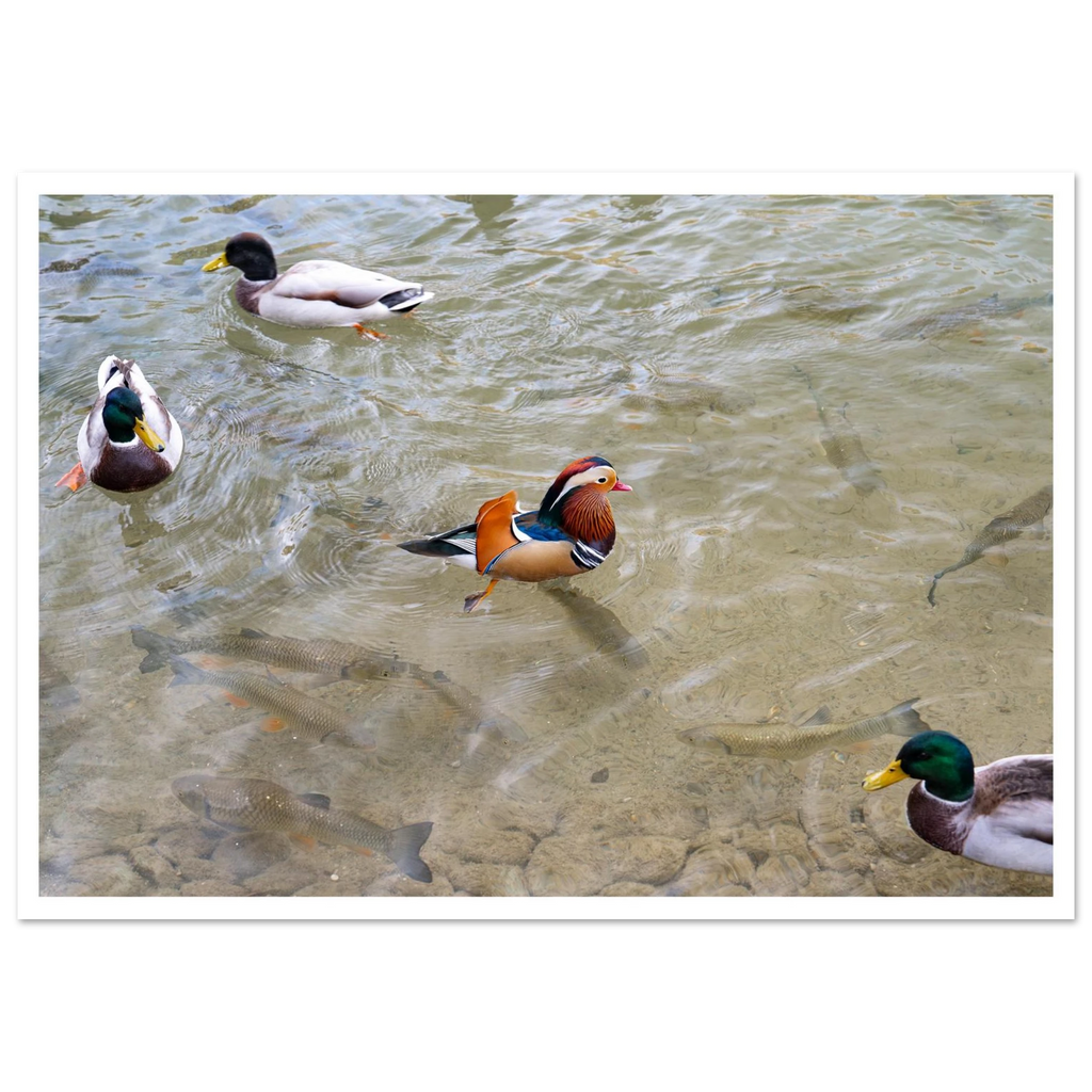 9da50de0-7623-47a8-8145-8e7b2c7c9a26