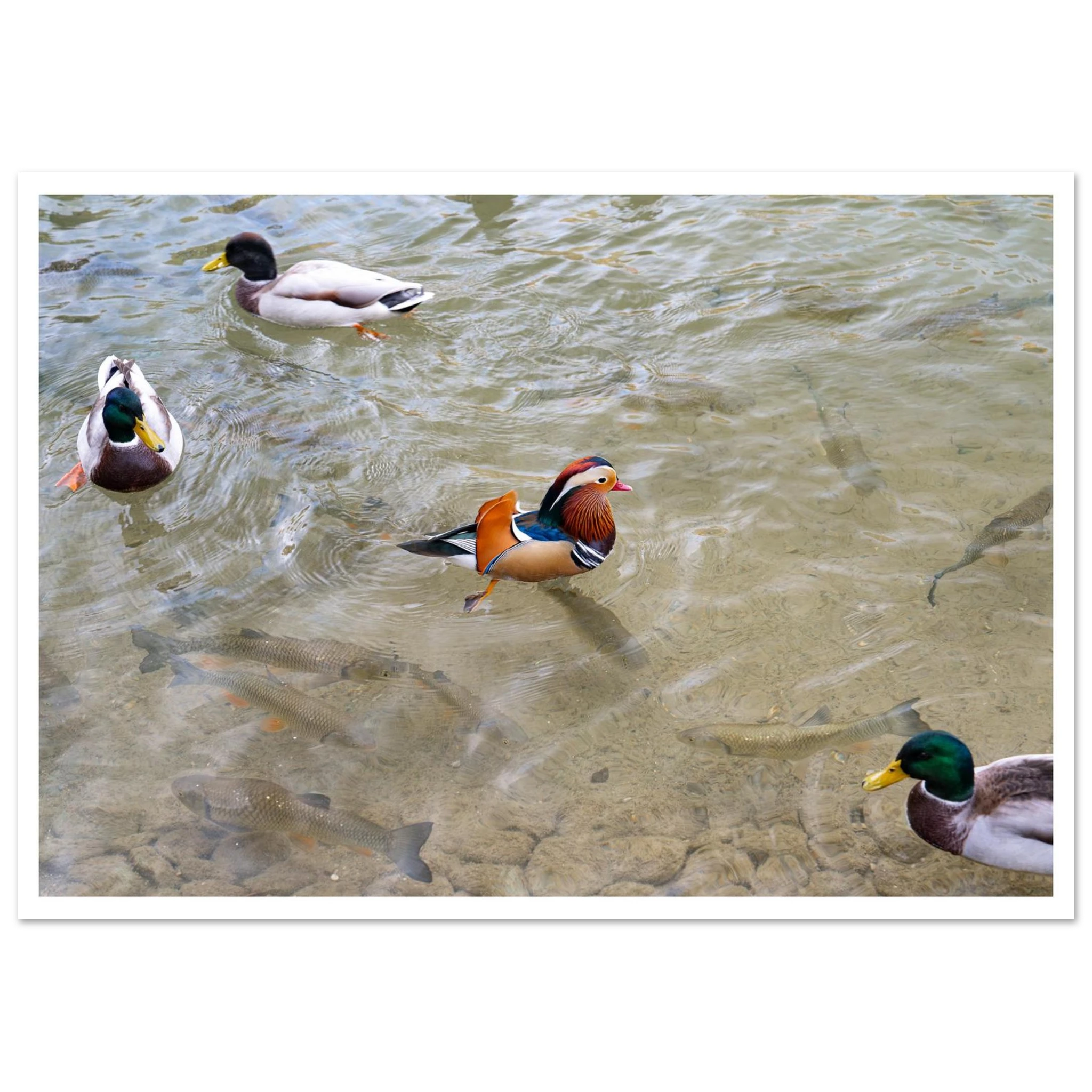 9da50de0-7623-47a8-8145-8e7b2c7c9a26