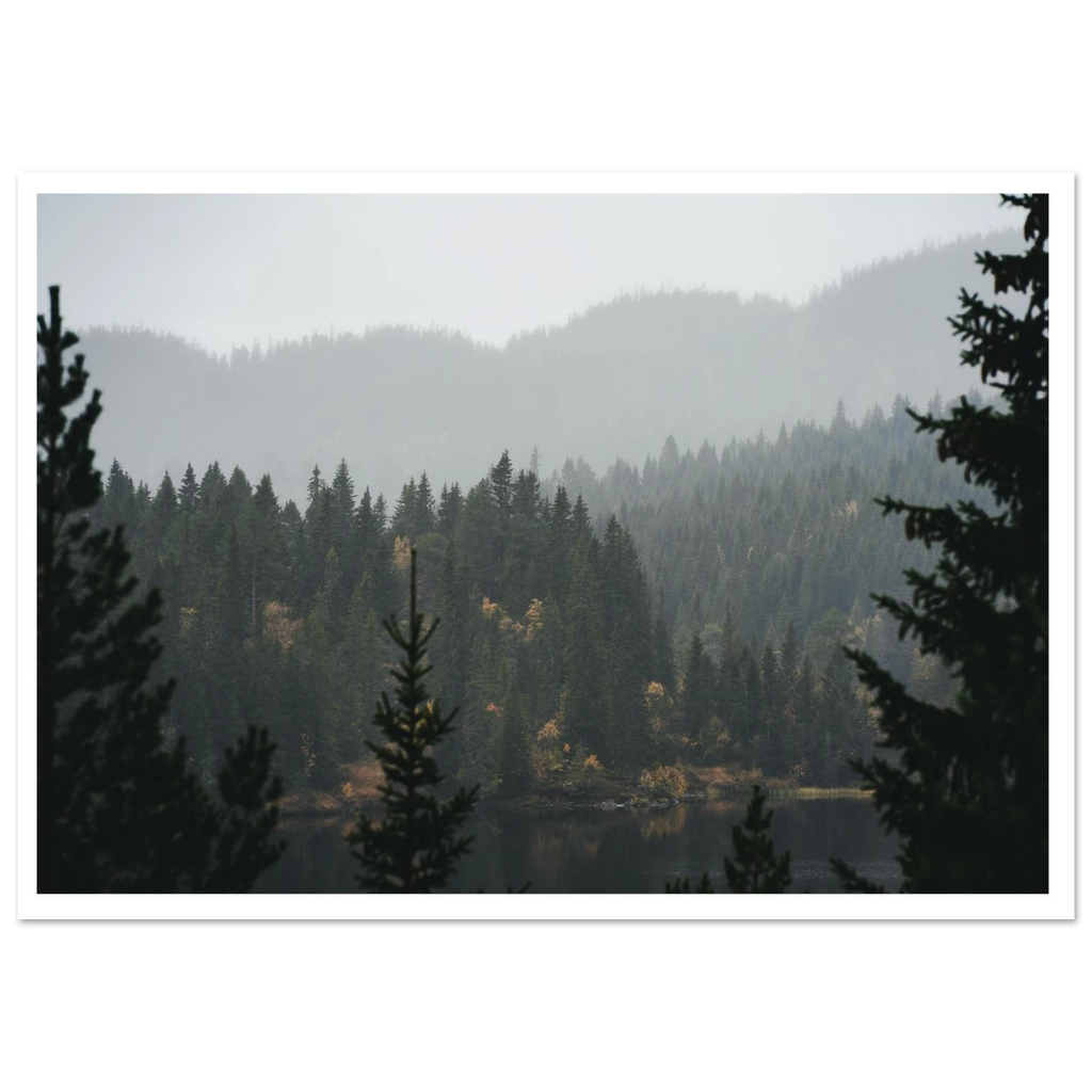 b7879e19-85ca-48d0-8baa-ec0fac235600