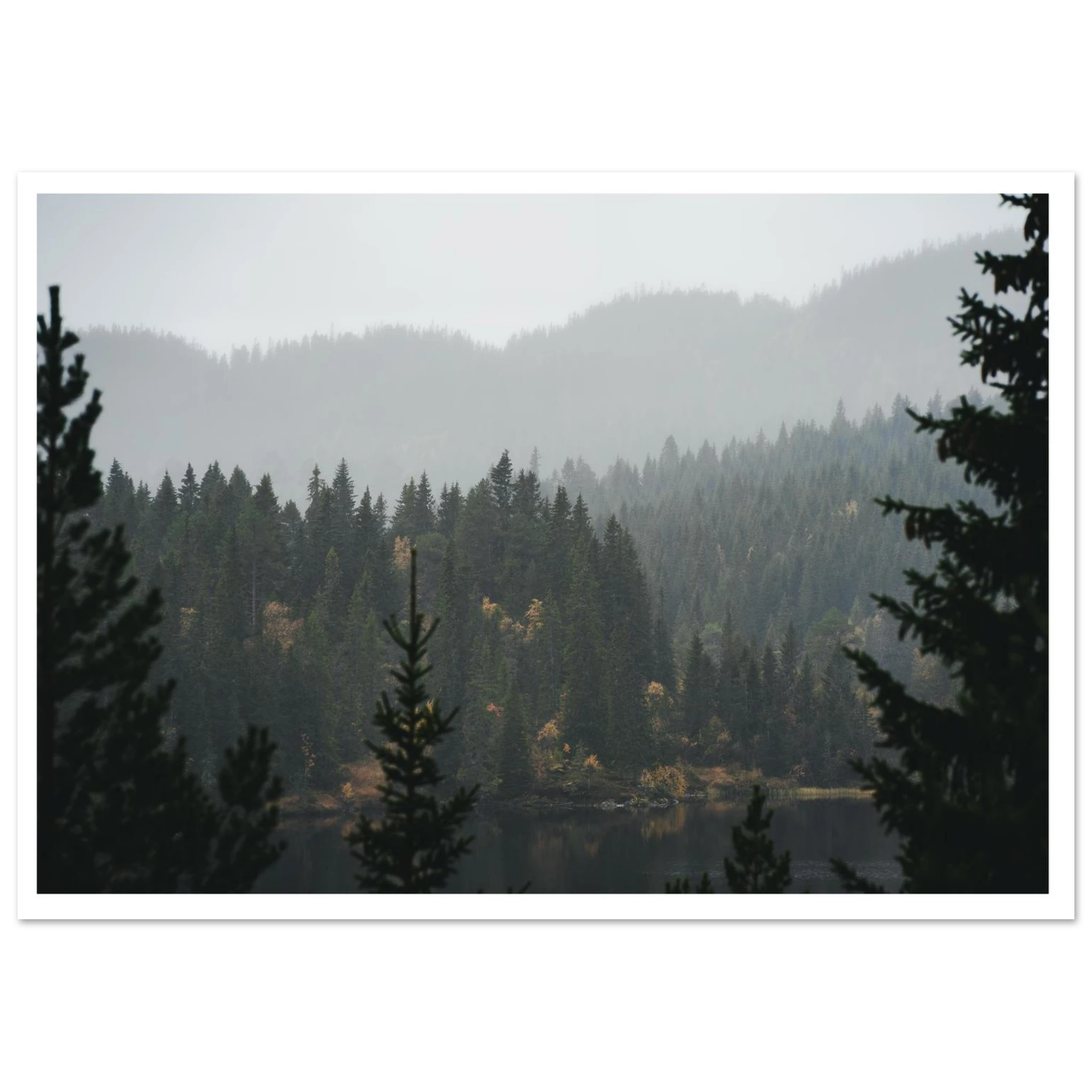 b7879e19-85ca-48d0-8baa-ec0fac235600