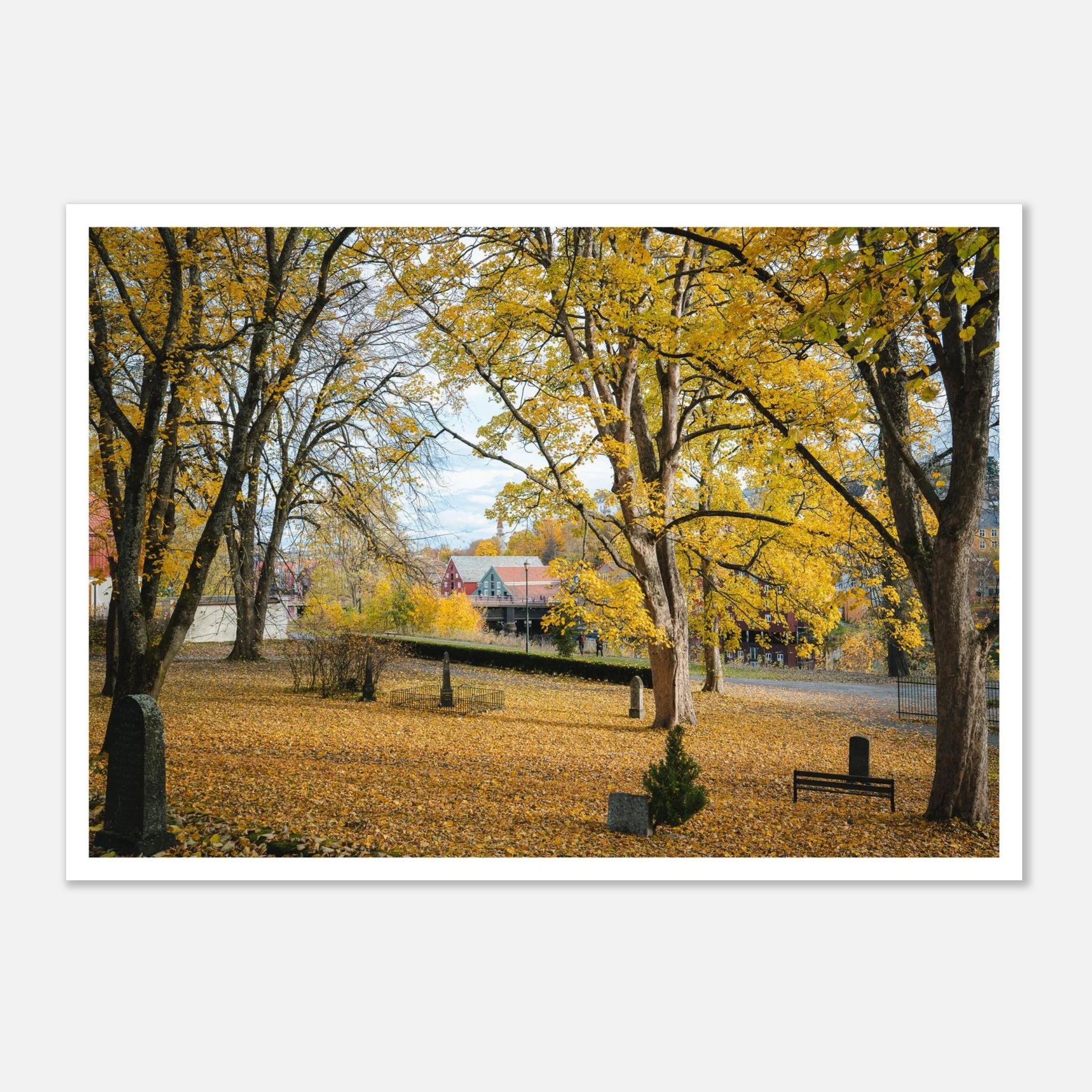 c7079c06-fdfc-4166-8487-8bf93e314b64