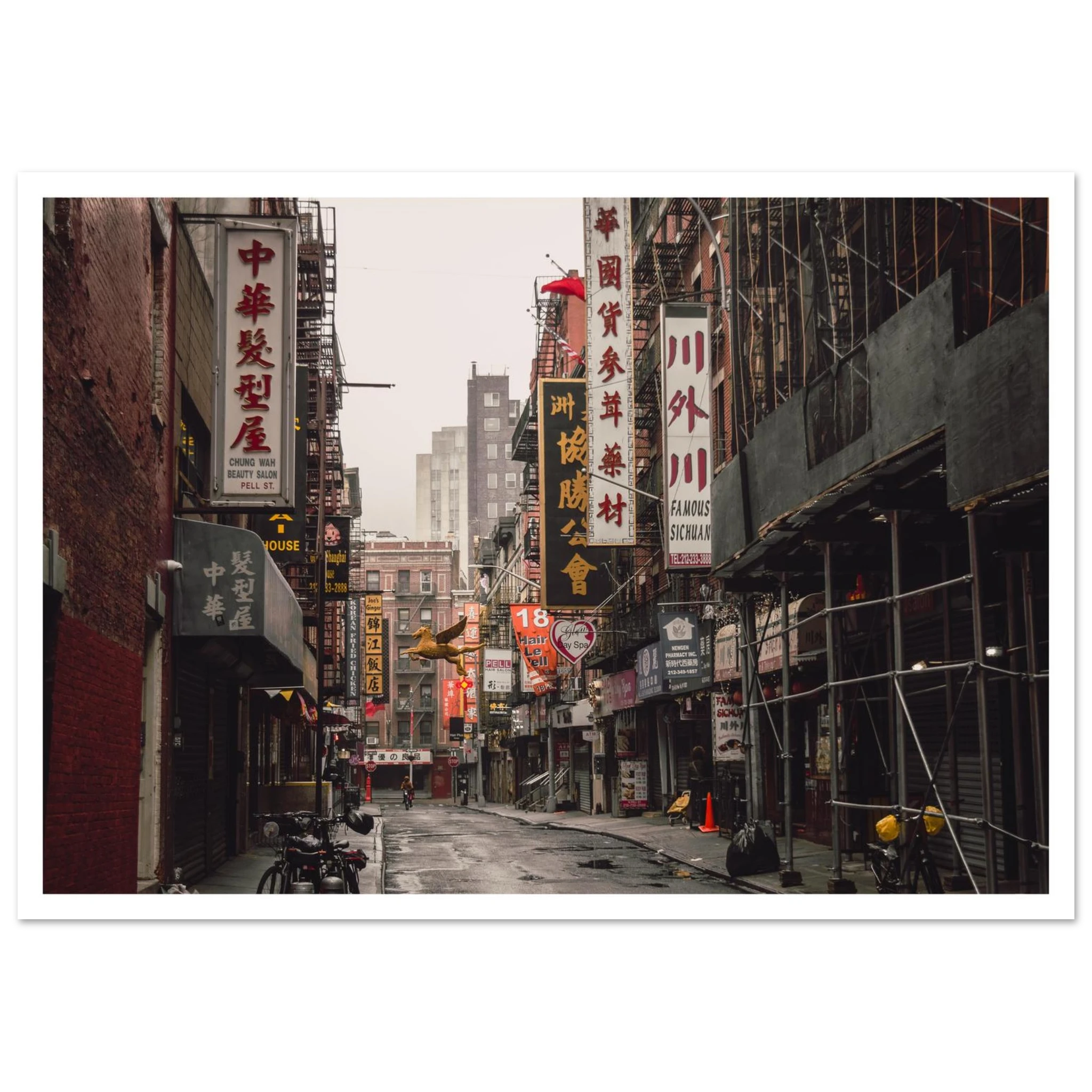 c8bda249-d670-4f9d-9317-3f1dc463eeac