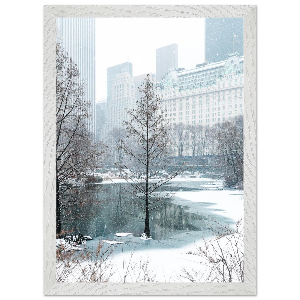 cd4cce52-db81-4baf-93f1-22a01fd6f019