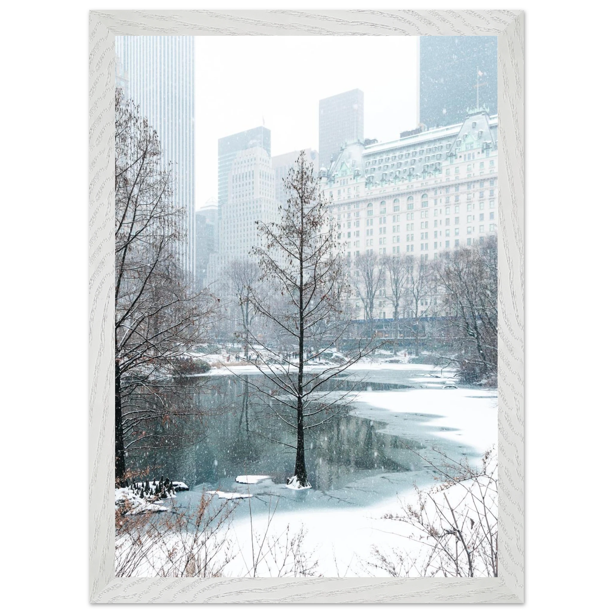 cd4cce52-db81-4baf-93f1-22a01fd6f019