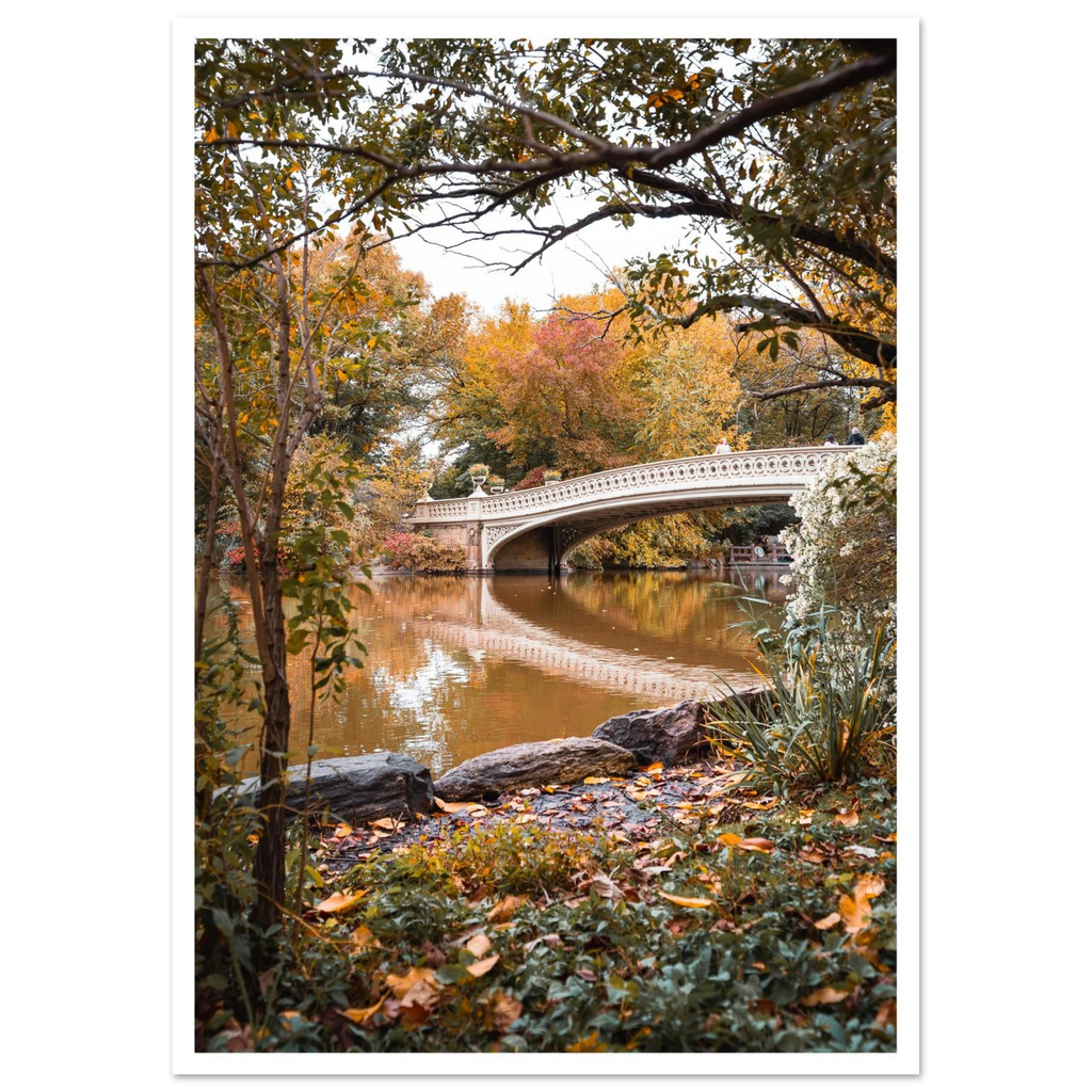 d7c5c2a8-d9a1-457f-a823-b535a5aa571d