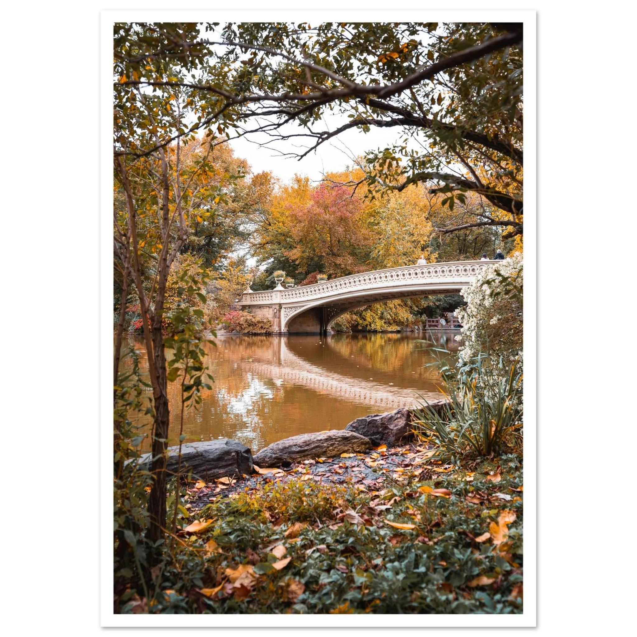 d7c5c2a8-d9a1-457f-a823-b535a5aa571d