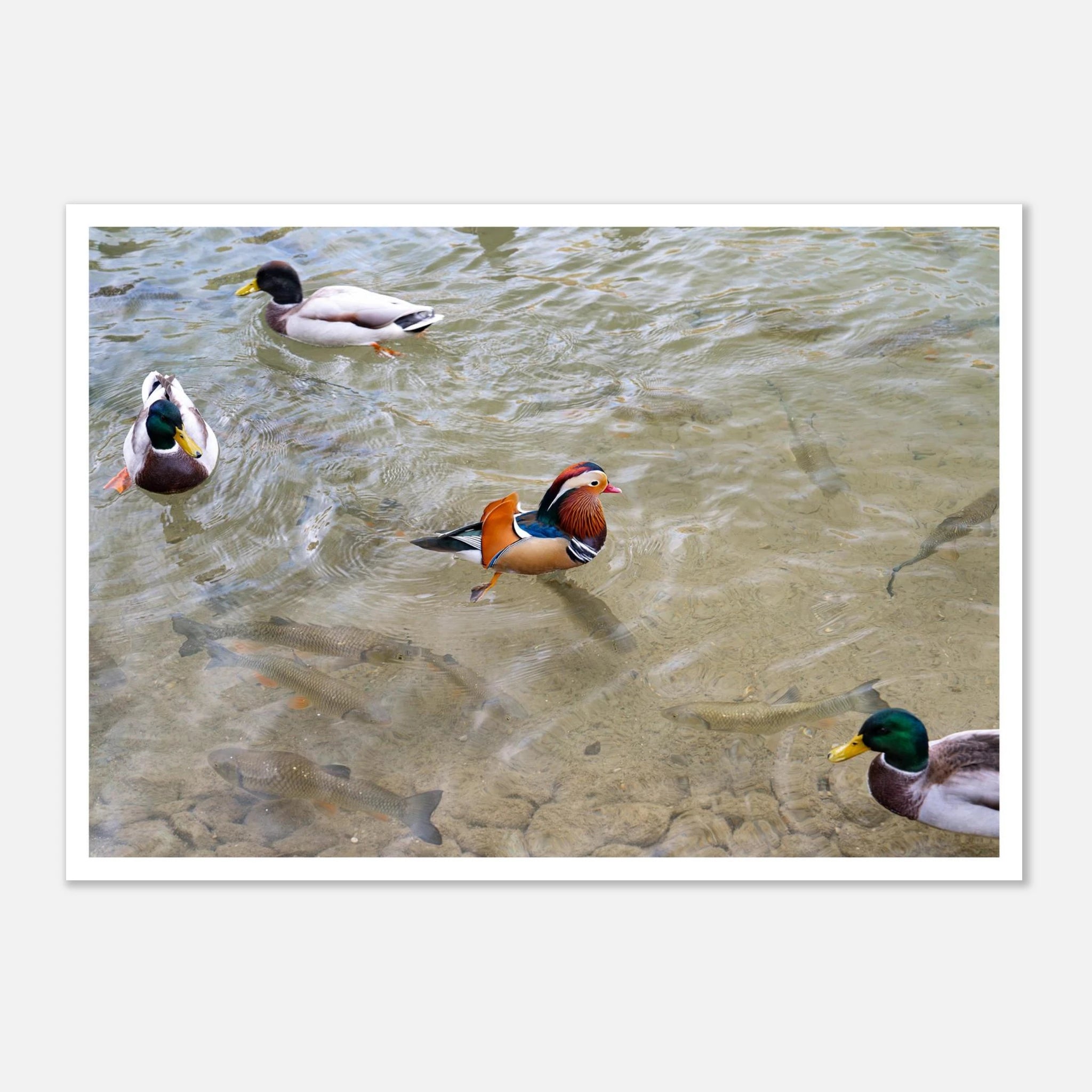 e1a6a2f0-2453-476f-bb1a-3357d9aaac24