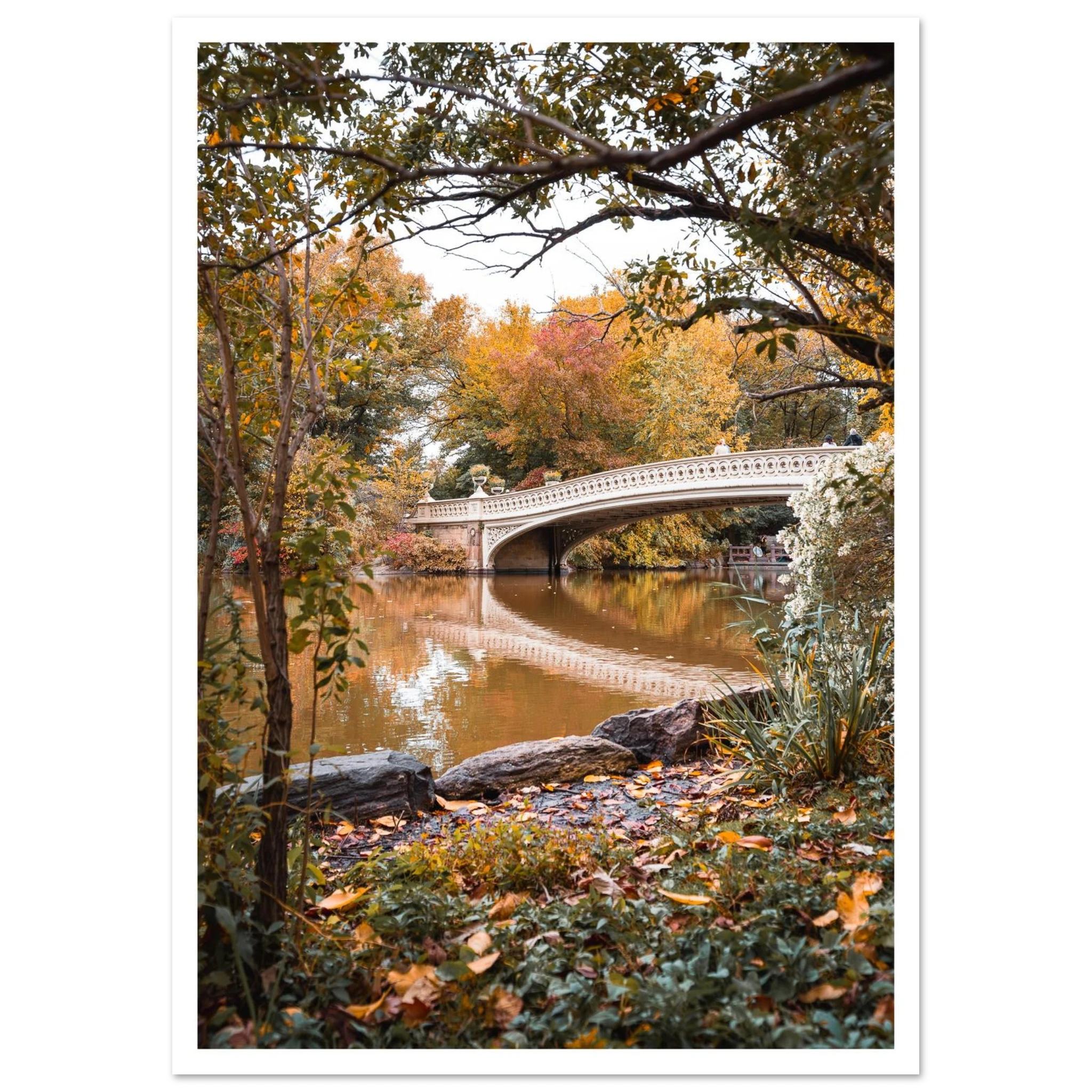 f4492544-f828-4b22-84ff-51e2da3bce87